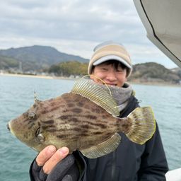 カワハギ
