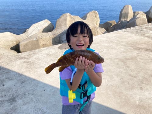 キジハタの釣果