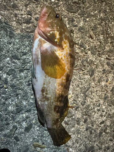 乃生漁港