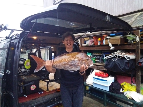 マダイの釣果