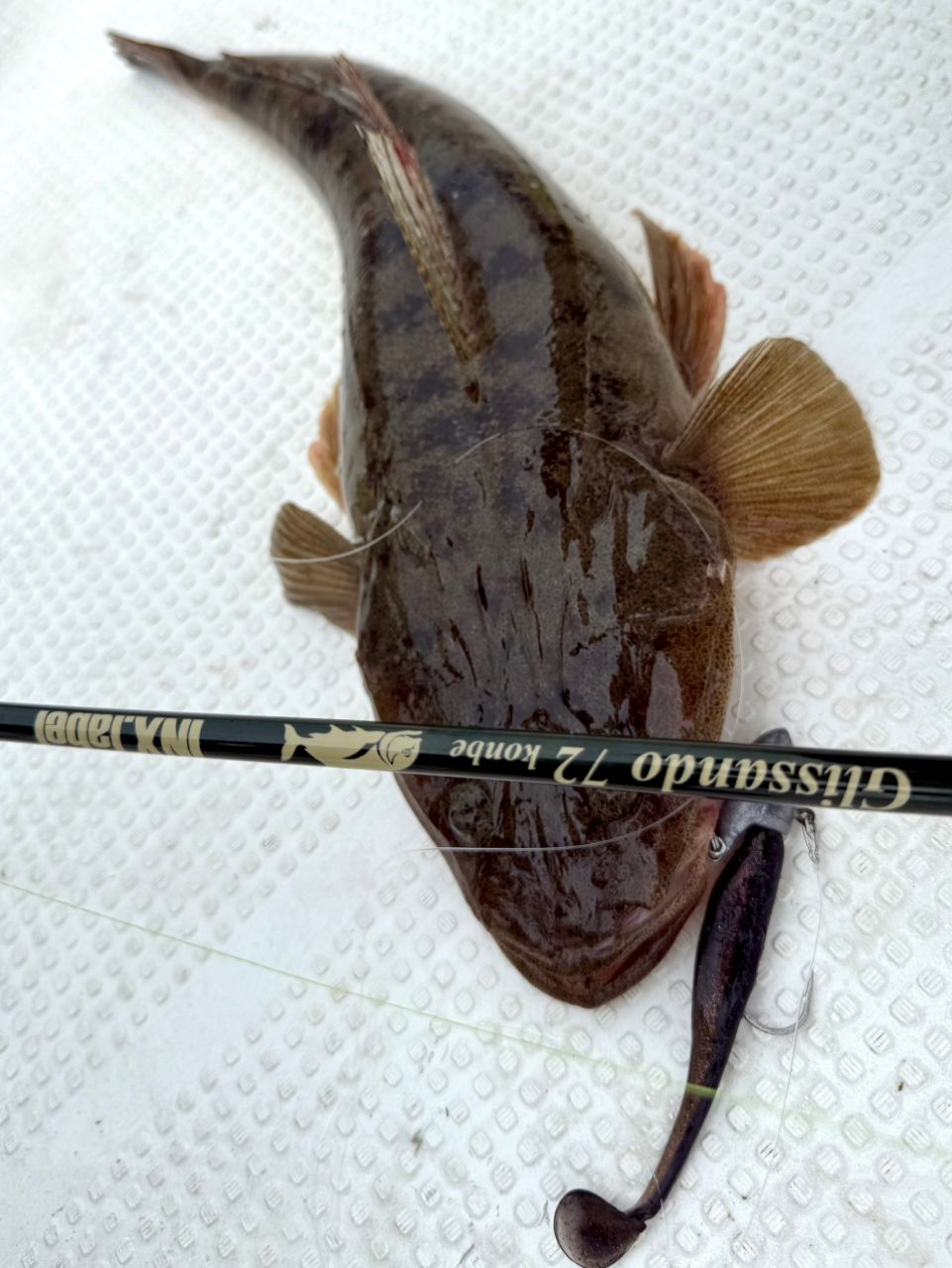 あつあつ釣果記録さんの釣果 2枚目の画像