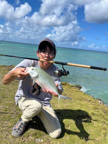 オニヒラアジの釣果