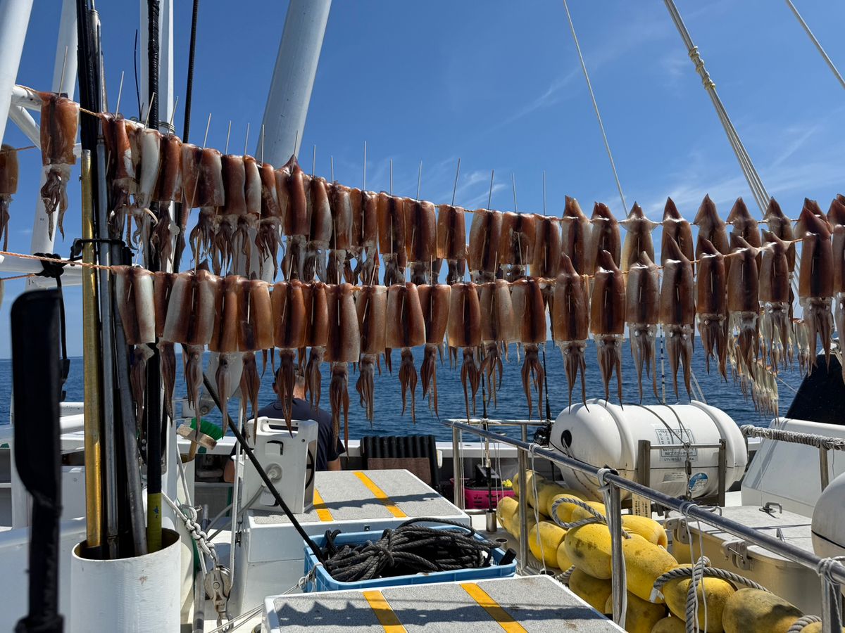 すぎっち0130さんの釣果 1枚目の画像