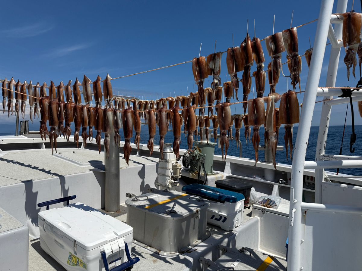 すぎっち0130さんの釣果 2枚目の画像