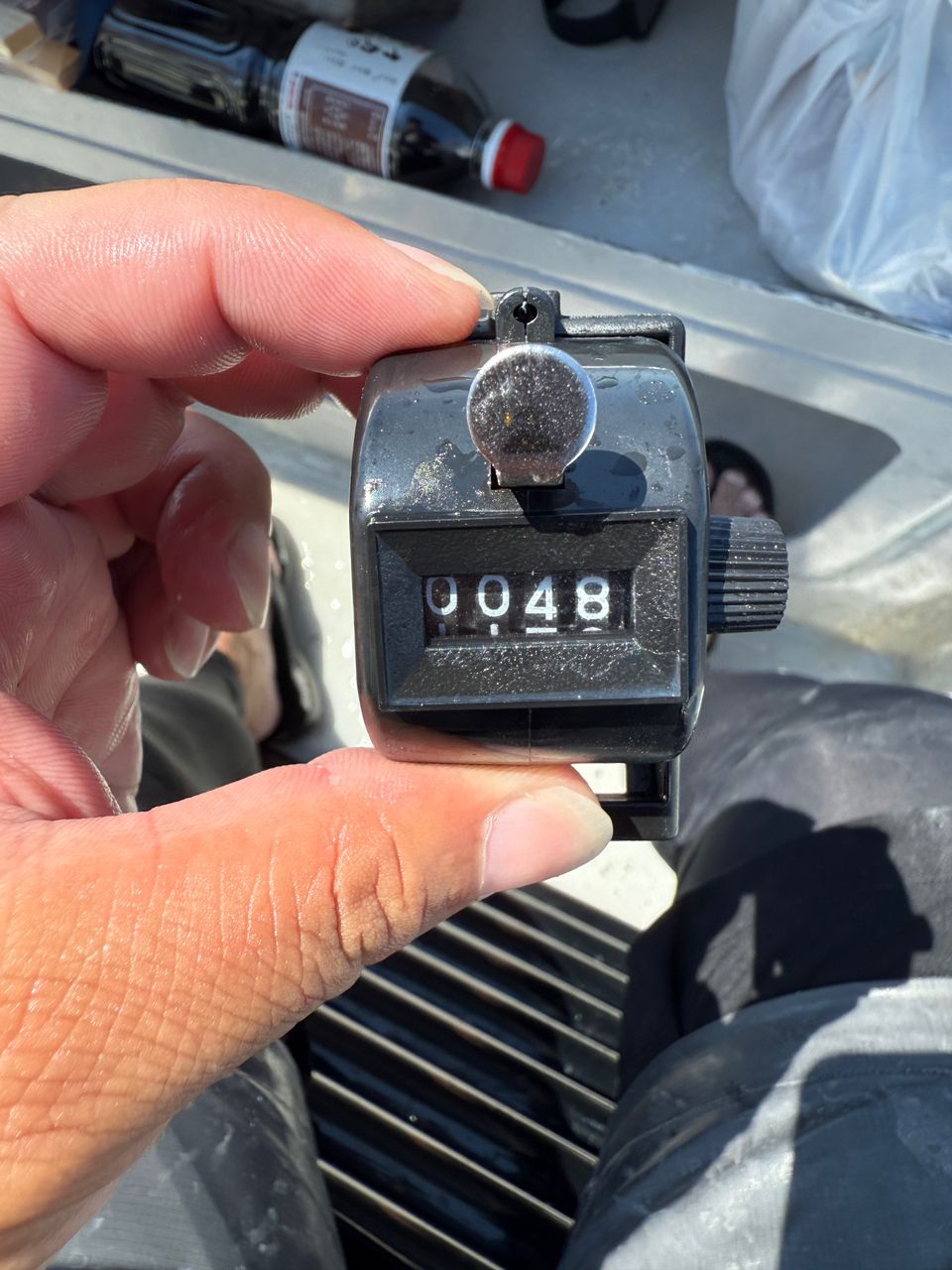 すぎっち0130さんの釣果 3枚目の画像