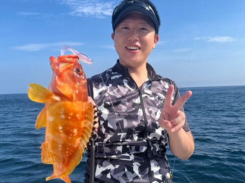 アカハタの釣果
