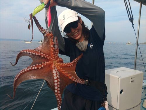 タコの釣果