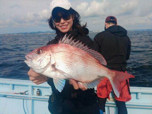 マダイの釣果