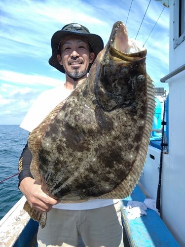 ヒラメの釣果