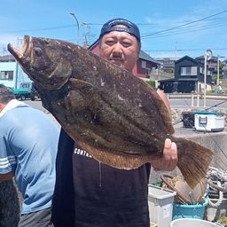 ヒラメ