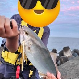ショゴ