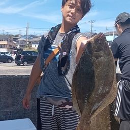 ヒラメ