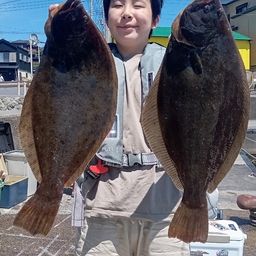 ヒラメ