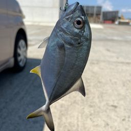 メッキ