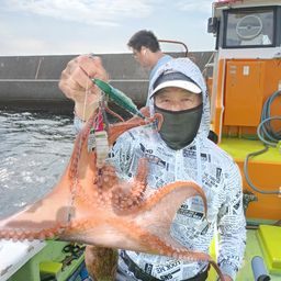 タコ