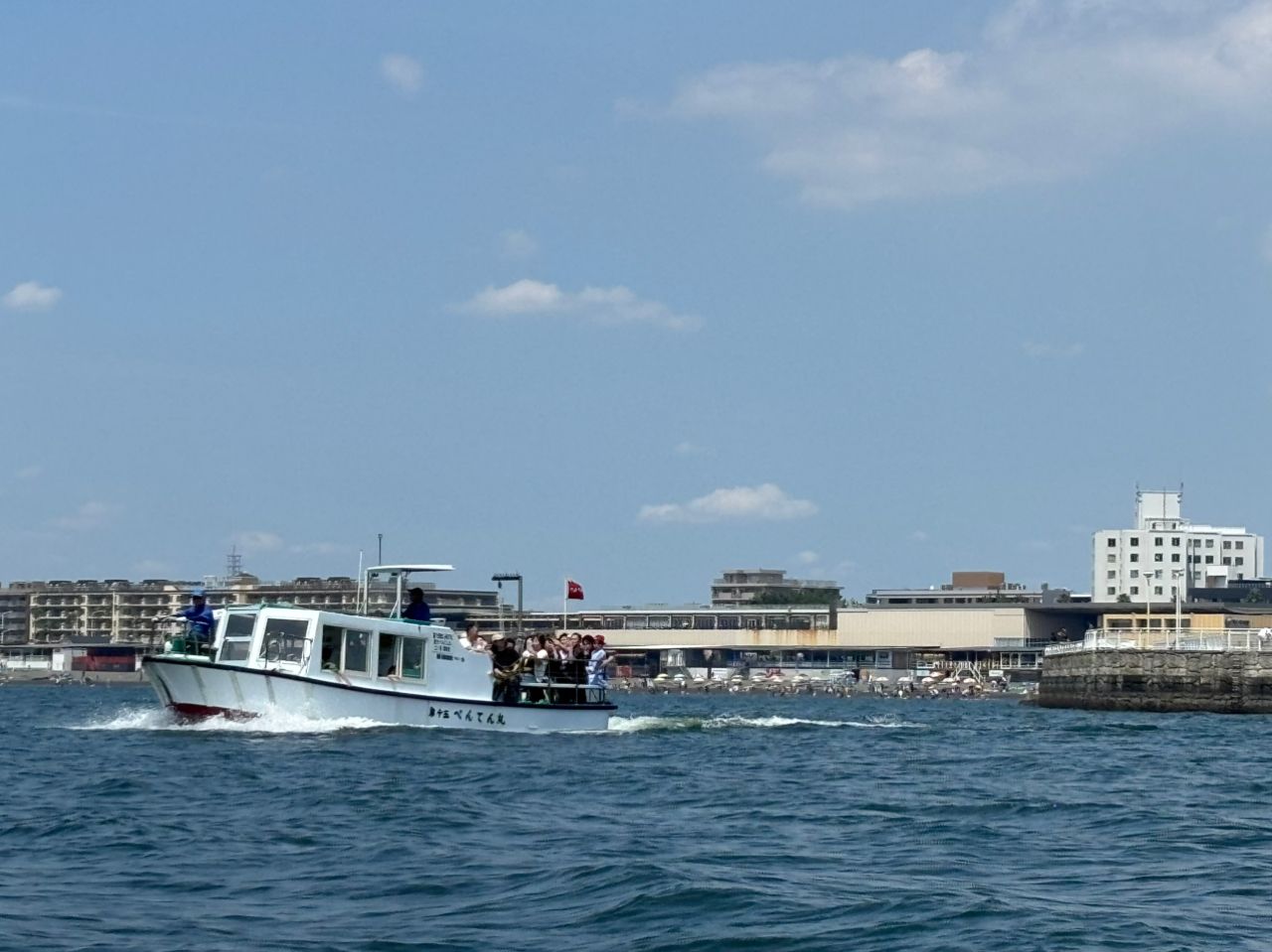 シロギス