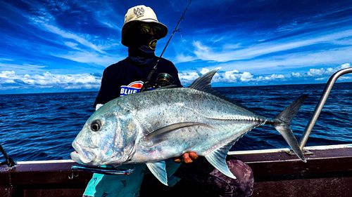 GTの釣果