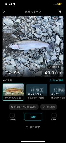 ニジマスの釣果