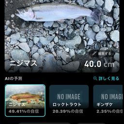ニジマス