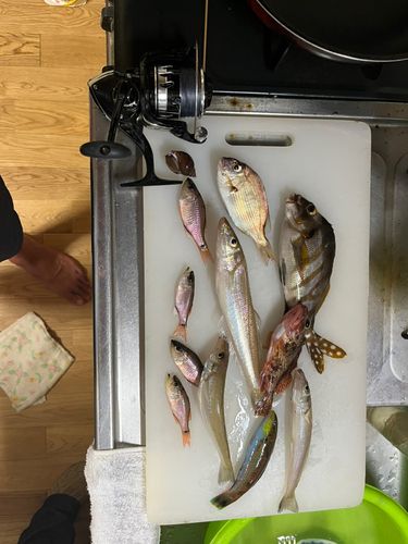 釣果