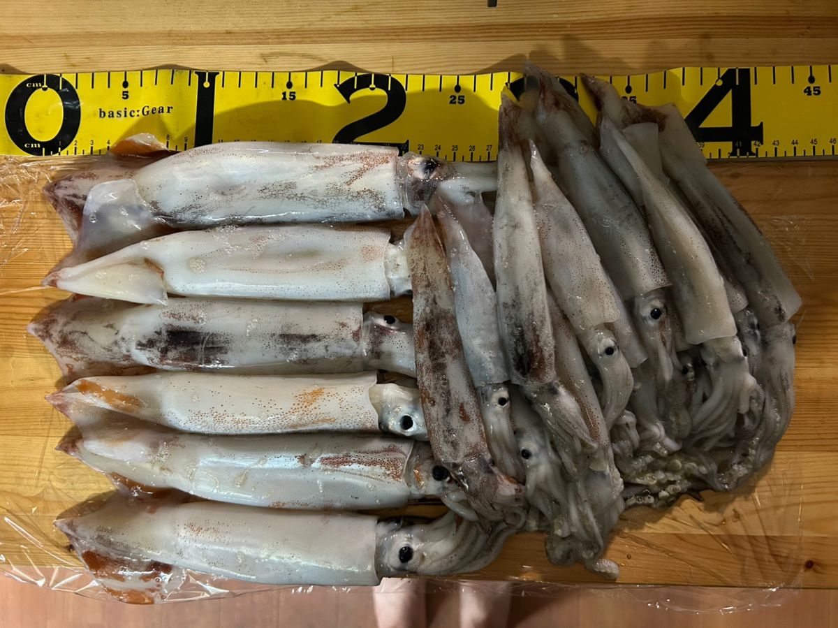 叶ゆずゆずさんの釣果 2枚目の画像