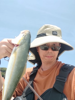 ワカシの釣果