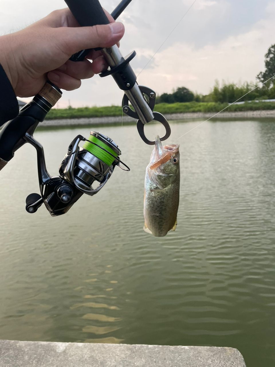 SHIMANO 17エクスプライド 266Lの最安値・インプレ・釣果 | 本音 SHIMANO 17エクスプライド 266Lの最安値・インプレ・釣果 | 本音