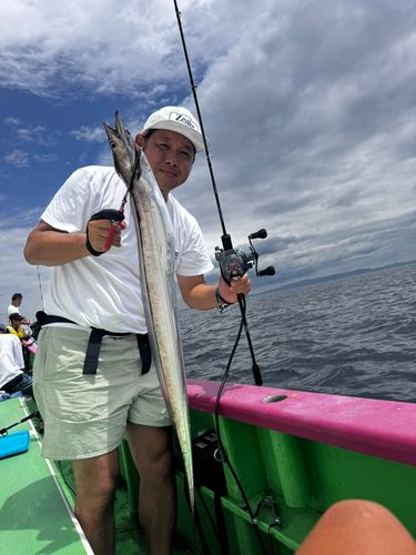 タチウオの釣果