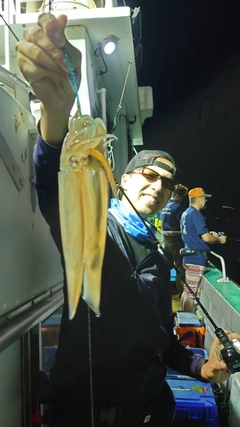スルメイカの釣果