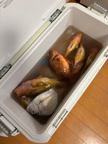 鰀目漁港