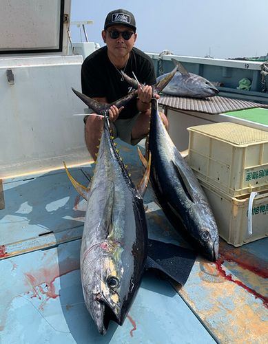 キハダマグロの釣果