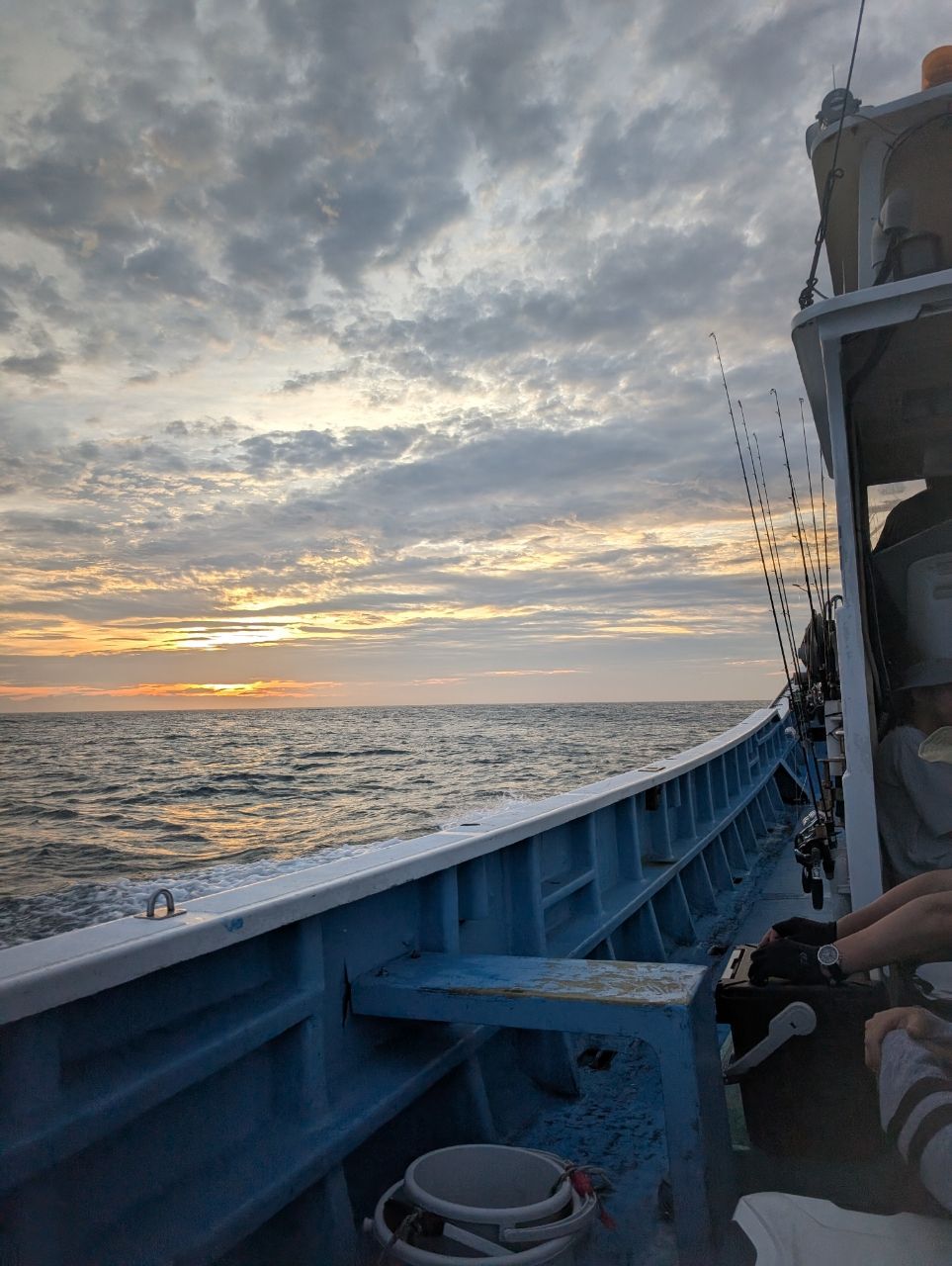 リリースサイズさんの釣果 1枚目の画像