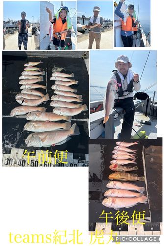 シロアマダイの釣果