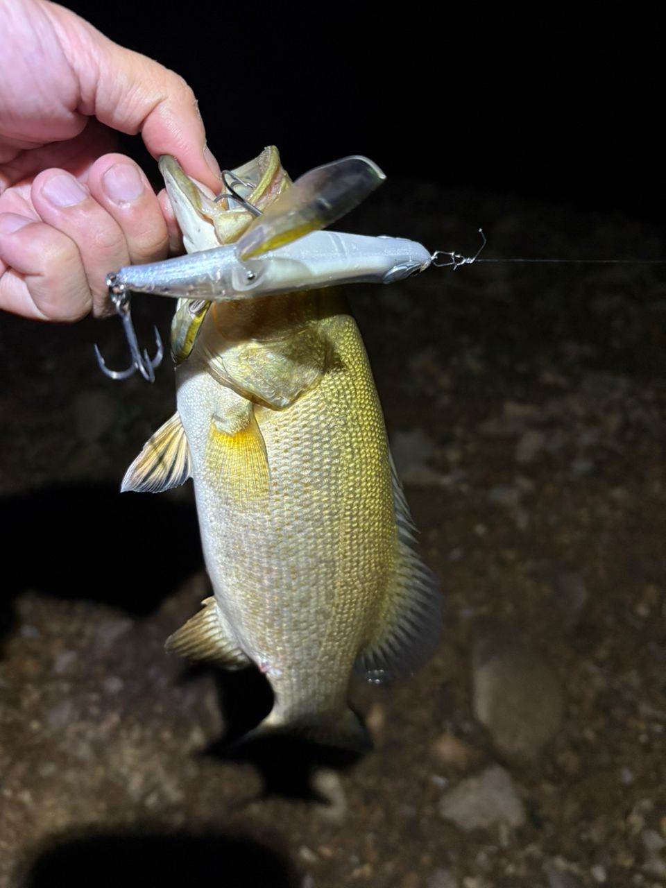 スモールマウスバス