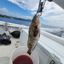 クロソイ