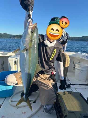 ブリの釣果