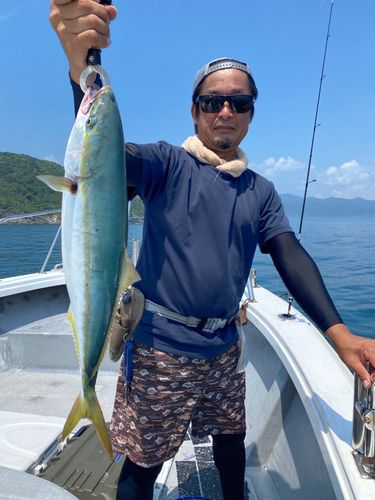 アマダイの釣果