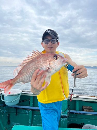 マダイの釣果