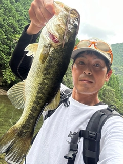 ラージマウスバスの釣果