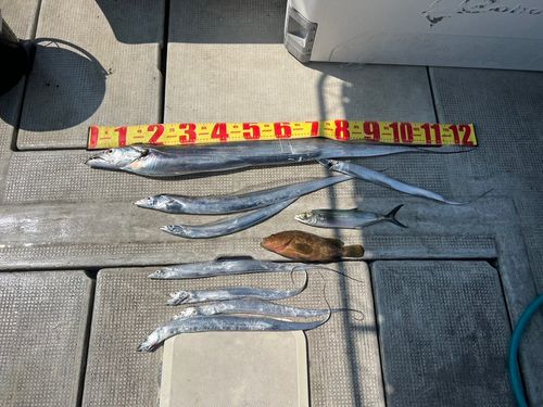 タチウオ