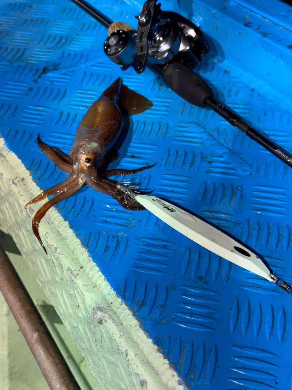 IRONJIGGERさんの釣果 2枚目の画像