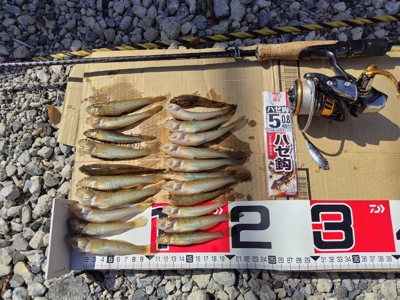DAIWA 21ブレイゾン S63UL-2・STの最安値・インプレ・釣果