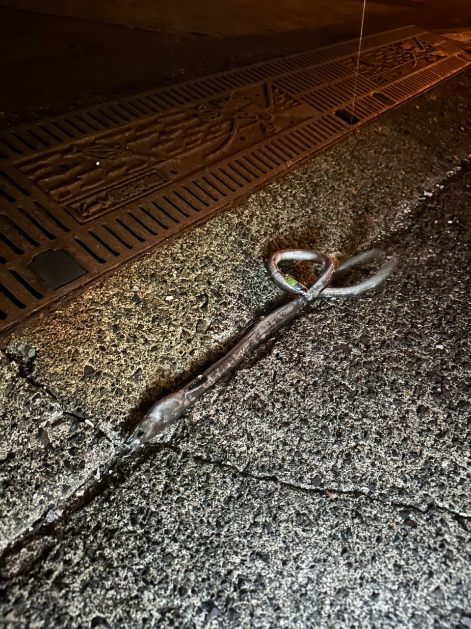 ホタテウミヘビ