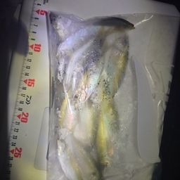 アジ