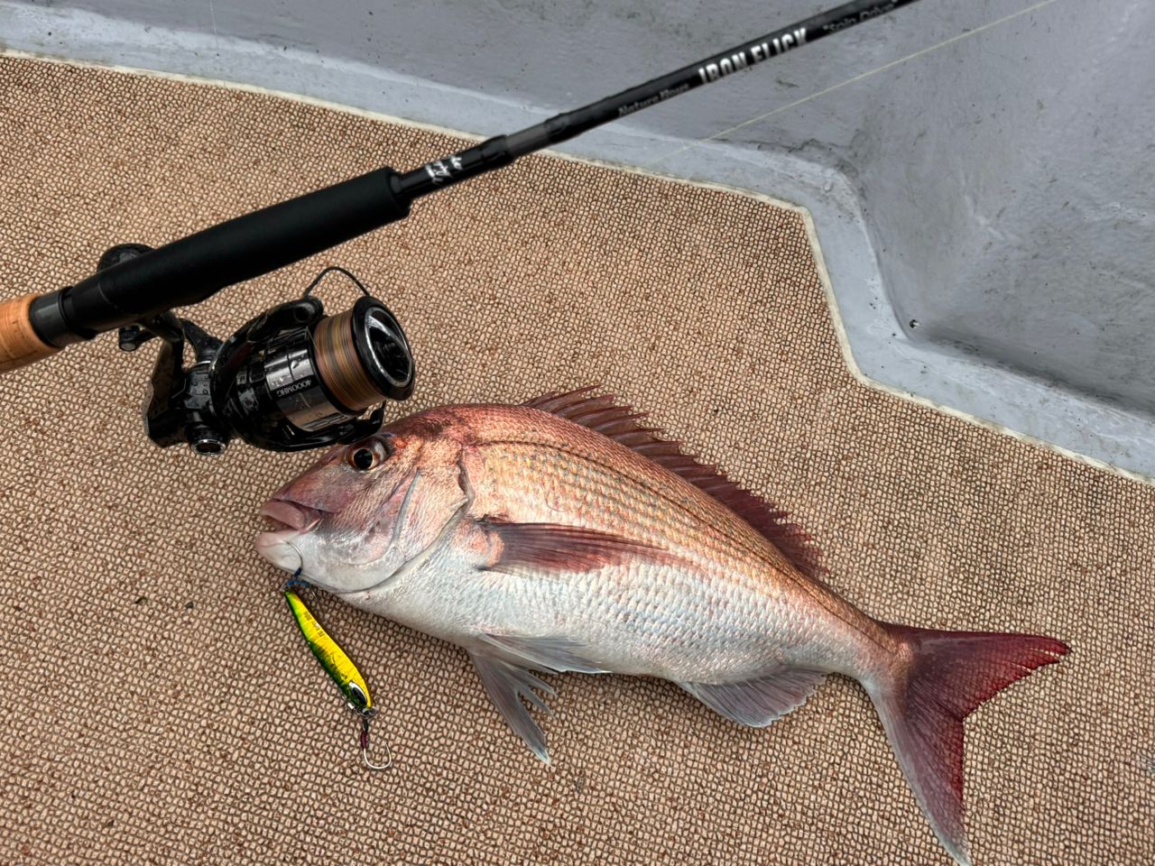 船釣りタイ30号2.3メ-タ- 船釣りタイ30号2.3メ-タ- 釣り船こーじ】最新の釣果情報