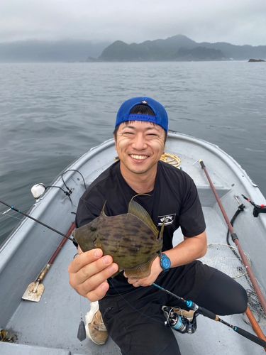 カワハギの釣果