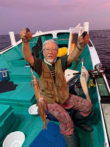 アカイカの釣果