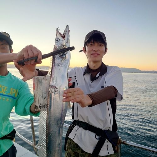 タチウオの釣果