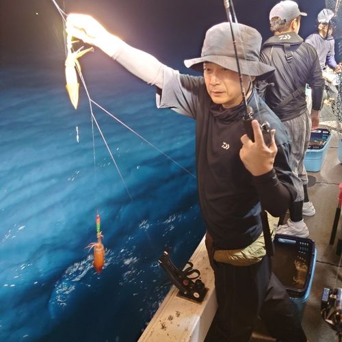ヤリイカの釣果