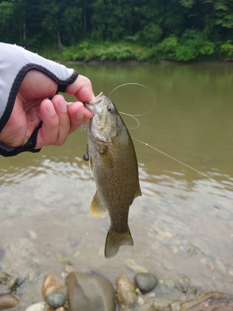 スモールマウスバス